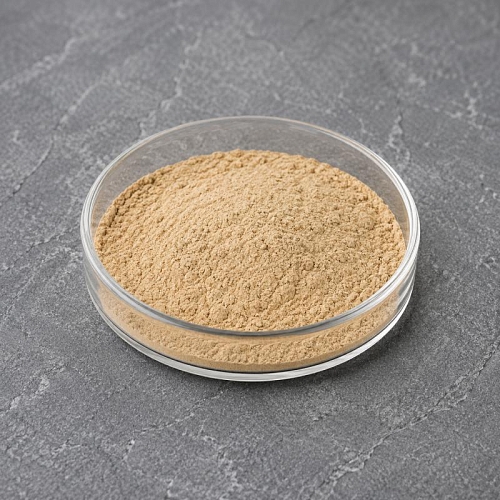 Black Cohosh Extract Powder 1 kg cosmetic ingredient Mylo Opt