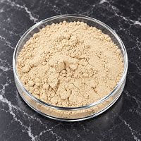 Garlic Extract Powder 10% 1 kg cosmetic ingredient Mylo Opt