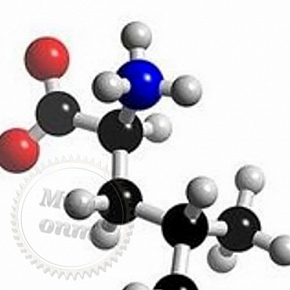 Купить L лейцин 5 гр в Украине