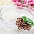 Coffee Oil Refined 5 g, photos, reviews, use