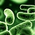 Biolin P 10 гр, фото, відгуки, використання