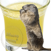 Marmot fat, 50 g