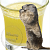 Marmot fat, 50 g, photos, reviews, use