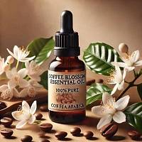 Купить coffee blossom essential oil (coffea arabica), 100 мл