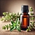 Savory mountain essential oil 100 ml, photos, reviews, use