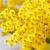 Mimosa Fragrance Oil, 1 liter, photos, reviews, use