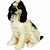 Shape 3D Spaniel Cutie, photos, reviews, use