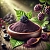 Blackberry Fruit Extract Powder 100 g, photos, reviews, use