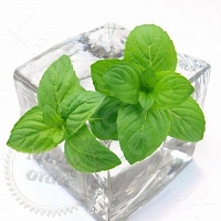Ароматизатор харчовий Purely Peppermint, 1 літр