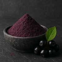Порошок Черноплодной рябины, 100 гр описание и применение