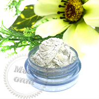 Metallic Powder Pigment Silver, 50 gr