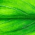 Консервант Dermosoft 1388 10 мл, фото, відгуки, використання