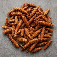 Почки сосновые, 100 гр описание и применение