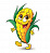 Купить Resplanta MAIS - кукурузный активный ПАВ, 1 кг в Украине