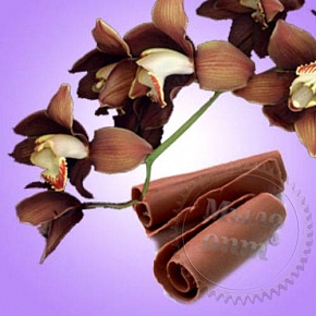 Купить Отдушка Chocolate & Orchid, 1 литр в Украине