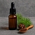 Siberian Larch Extract Concentrate 1 L, photos, reviews, use
