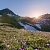 Alpine Meadow Fragrance Oil 1 L cosmetic ingredient Mylo Opt