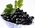 Auto-Fragrance Oil Black Currant, 1 liter, photos, reviews, use