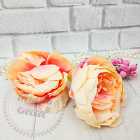 Peony Flower Pink Peach