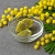 Mimosa Wax 10 g, photos, reviews, use