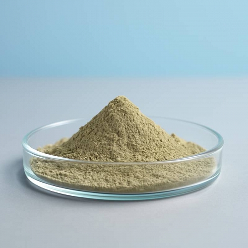 Бодяга порошок, 1 кг