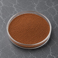 Guarana Extract Powder 10 g cosmetic ingredient Mylo Opt