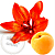 Fragrance Oil White Apricot and Tigrov Lily, 100 ml, photos, reviews, use