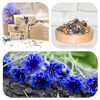 Купить Сухоцвет Василек синий цветки, 1 кг в Украине