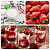 Strawberry fresh ripe Flavor Powder, 1 kg, photos, reviews, use