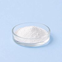Polymethylsilsesquioxane 10 гр