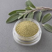 Sage Extract Powder 101 1 kg cosmetic ingredient Mylo Opt