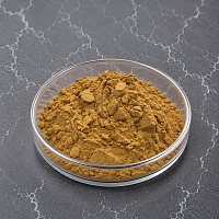 Verbena Extract Powder 5 g cosmetic ingredient Mylo Opt