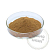 Tribulus Terrestris extract Powder, 100 gr, photos, reviews, use