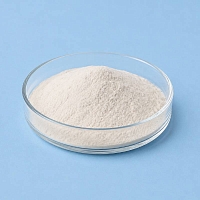 Aloe Vera 200:1 Powder 1 кг