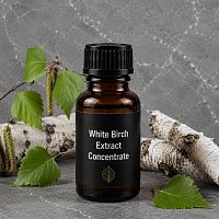 White Birch Extract Concentrate 50 ml cosmetic ingredient Mylo Opt