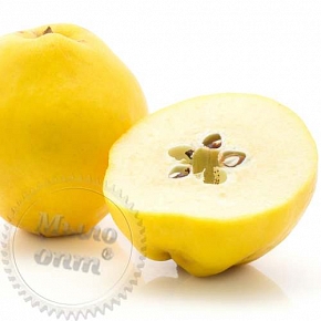 Купить Отдушка Pear Quince, 1 литр в Украине