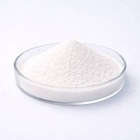 Snow Algae Powder, 100 гр артикул TM19010911