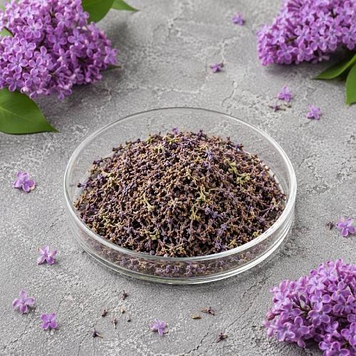 Dried flowers Common lilac flowers 1 kg cosmetic ingredient Mylo Opt