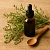 Knotgrass Extract 1 L, photos, reviews, use
