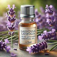 Купить эфирное масло lavandula latifolia, 100 мл