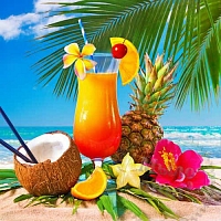 Отдушка Coconut Coast, 1 литр