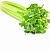 Powder Celery Extract, 5 grams, photos, reviews, use