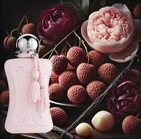 Віддушка Delina Parfums de Marly 1 л