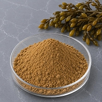 Ascophyllum Seaweed Extract Powder 1 kg cosmetic ingredient Mylo Opt