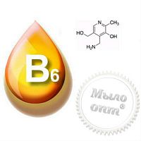 Купить Витамин В6 (фолиева кислота), 1 кг в Украине