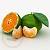 Green Mandarin Essential Oil, 10 ml, photos, reviews, use