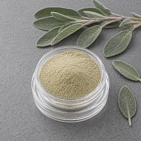 Sage Extract Powder 1 kg cosmetic ingredient Mylo Opt