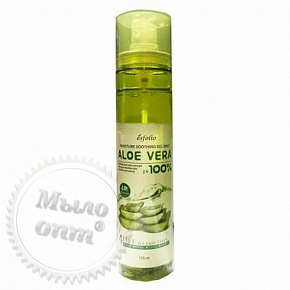 Купить Увлажняющий спрей для лица Welcos Aloe Vera Moisture Real Soothing Gel Mist 100% в Украине