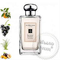 Отдушка Nectarine Blossom and Honey, Jo Malone, 1 л