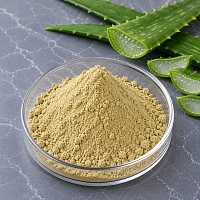 Aloe Vera Powder 25 g cosmetic ingredient Mylo Opt
